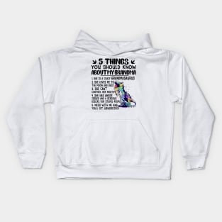 5 Things You Should Know About My Grandma She Is A Crazy Grandmasaurus Kids Hoodie